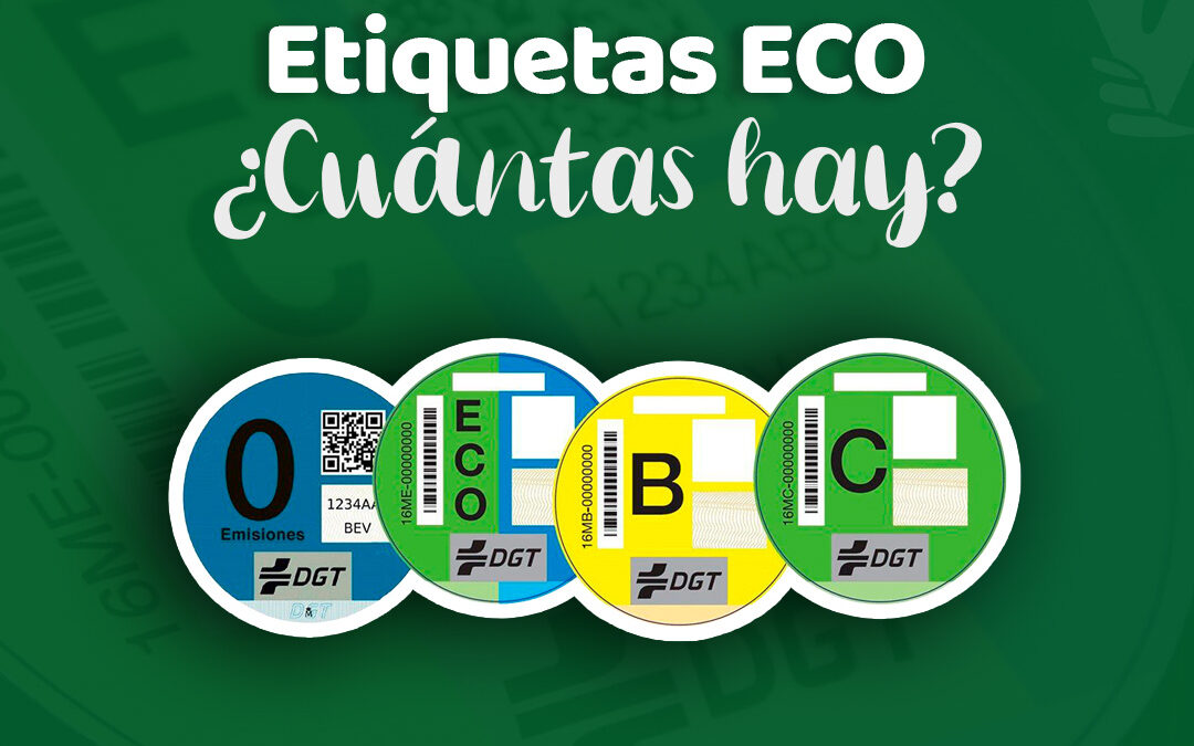 ¿𝗖𝗼𝗻𝗼𝗰𝗲𝘀 𝗹𝗮𝘀 𝗲𝘁𝗶𝗾𝘂𝗲𝘁𝗮𝘀 𝗺𝗲𝗱𝗶𝗼𝗮𝗺𝗯𝗶𝗲𝗻𝘁𝗮𝗹𝗲𝘀 𝗱𝗲 𝗹𝗮 𝗗𝗚𝗧? ¿𝗖𝘂á𝗻𝘁𝗮𝘀 𝗵𝗮𝘆?